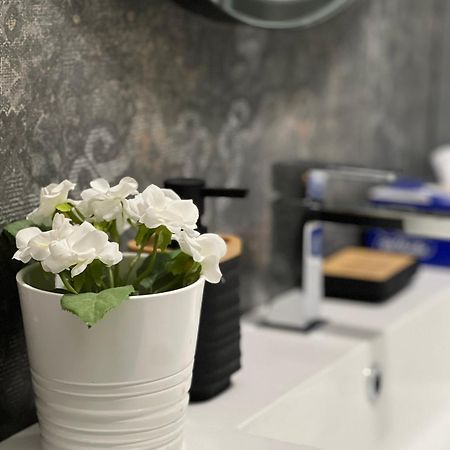 Plumbird Boutique & Apartment روما المظهر الخارجي الصورة