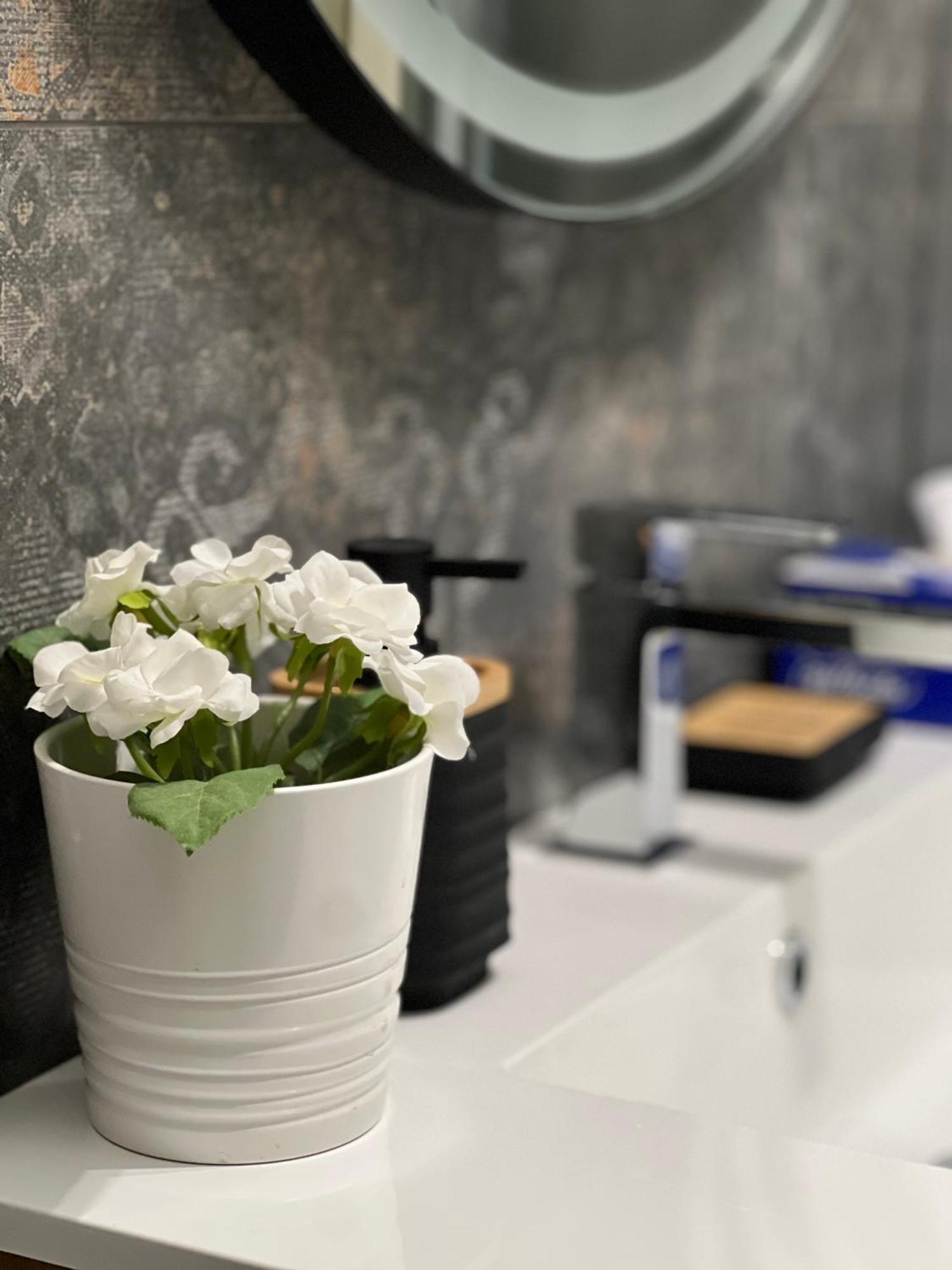 Plumbird Boutique & Apartment روما المظهر الخارجي الصورة