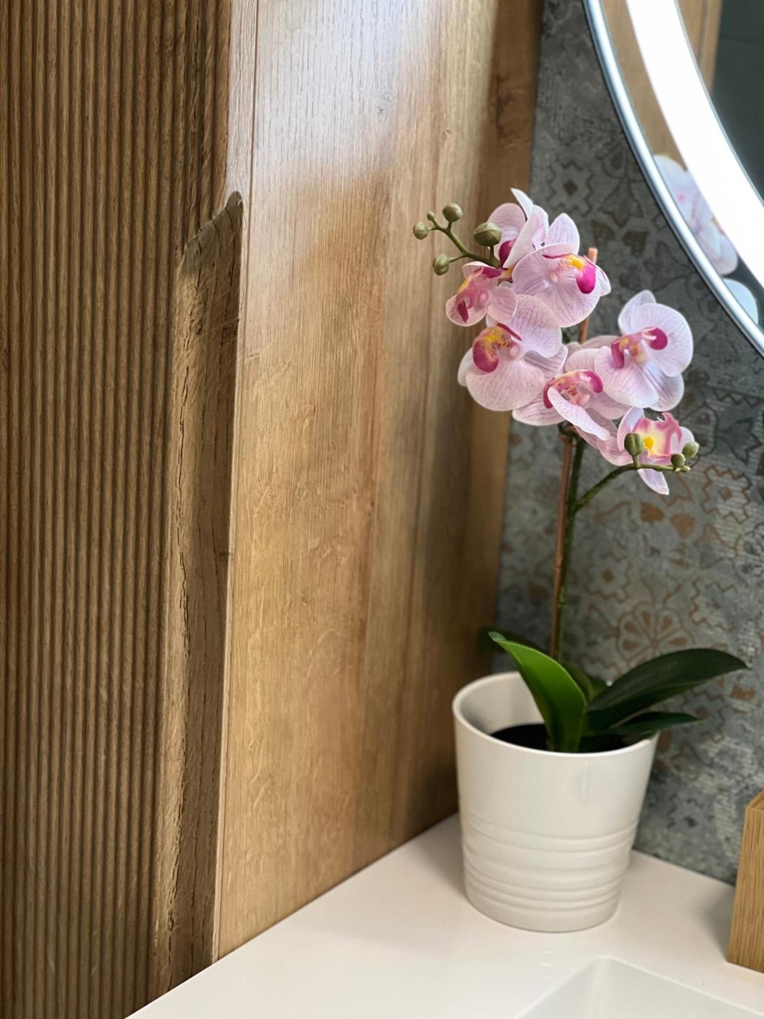 Plumbird Boutique & Apartment روما المظهر الخارجي الصورة